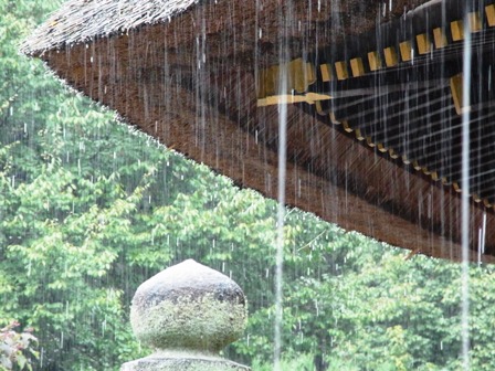 大元宮の茅葺屋根に降る雨