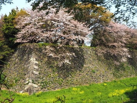 名古屋城石垣